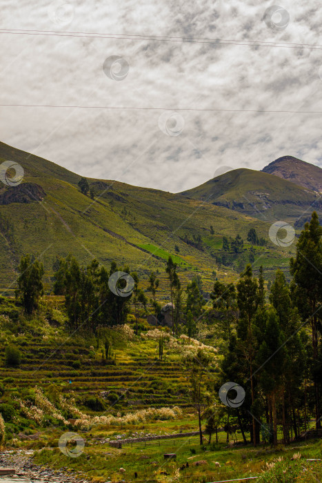 Скачать Террасы в Андах в Перу фотосток Ozero