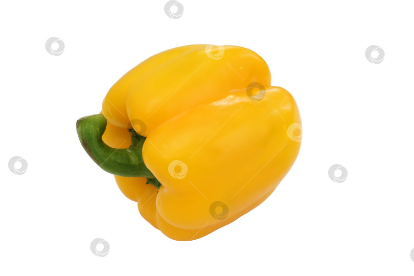 Скачать Желтый болгарский перец, основной пищевой ингредиент, на белом фоне фотосток Ozero