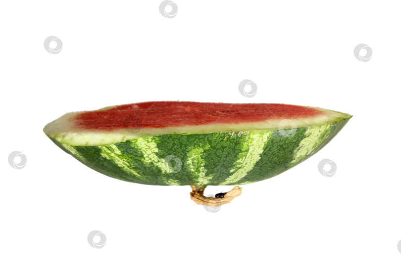 Скачать Арбуз, являющийся основным продуктом питания и натуральным фруктом, изображен на белом фоне фотосток Ozero