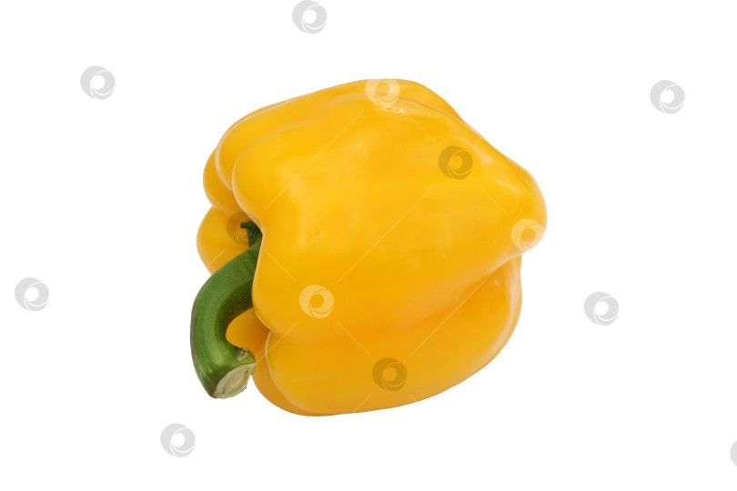 Скачать Желтый болгарский перец, основной пищевой ингредиент, на белом фоне фотосток Ozero