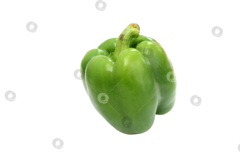 Скачать Зеленый болгарский перец, основной пищевой ингредиент, на белом фоне фотосток Ozero