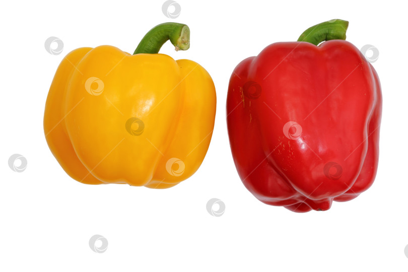 Скачать Желтый и красный болгарский перец на белом фоне - основные пищевые ингредиенты фотосток Ozero