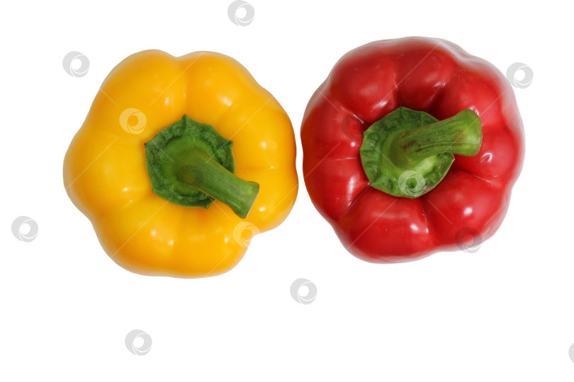 Скачать Желтый и красный болгарский перец на белом фоне - основные пищевые ингредиенты фотосток Ozero