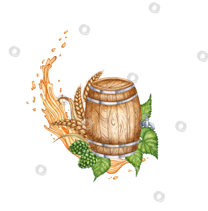 Скачать Бочка, украшенная акварельными брызгами пива, хмеля и колосьев пшеницы фотосток Ozero