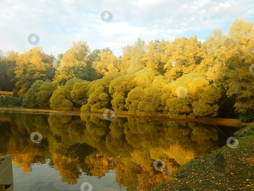 Скачать Осенний пейзаж фотосток Ozero