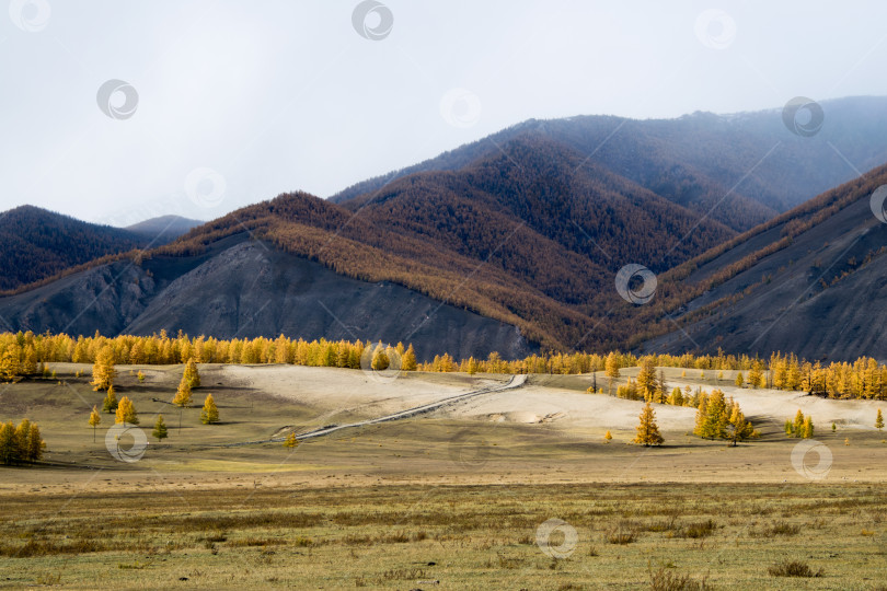 Скачать Раздолье. фотосток Ozero