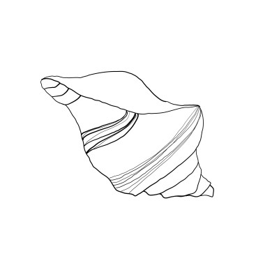 [object Object] undefined