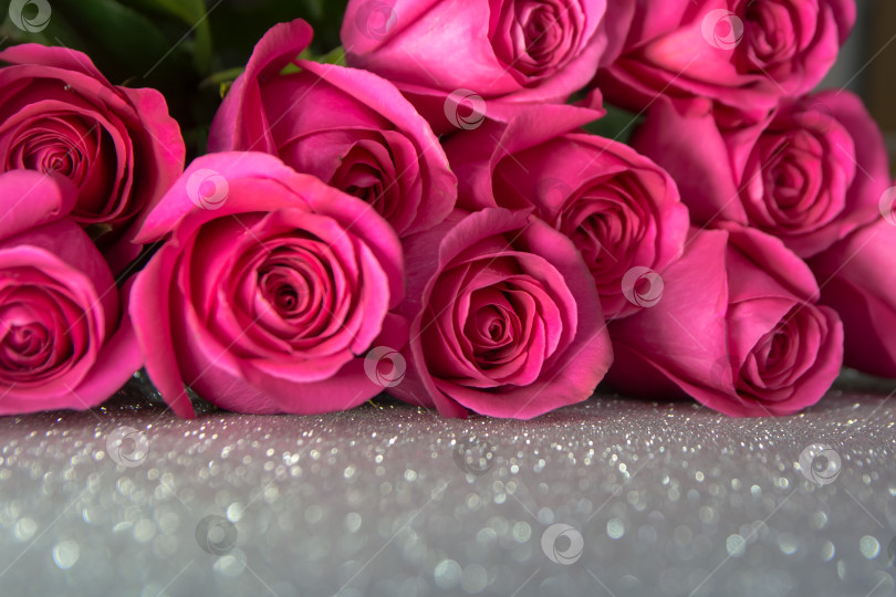Скачать Бутоны розовых роз на серебристом фоне. фотосток Ozero