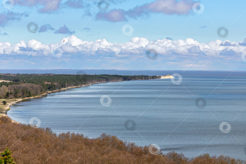 Скачать Куршский залив фотосток Ozero