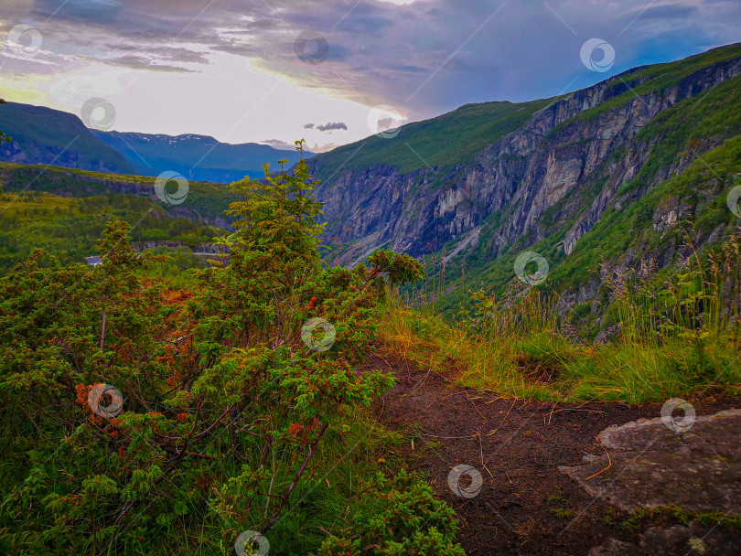 Скачать Тропинка в горах Норвегии фотосток Ozero