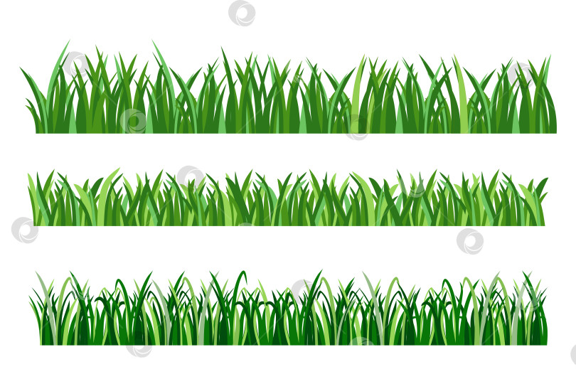 Скачать Набор зеленых травинок, выделенных на белом фоне. фотосток Ozero