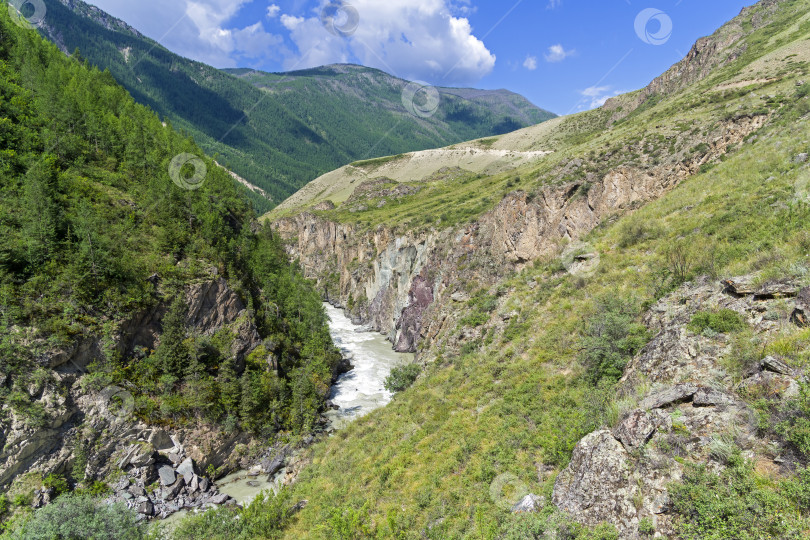 Скачать Река Чуя в узком каньоне. Алтай, Сибирь, Россия. фотосток Ozero