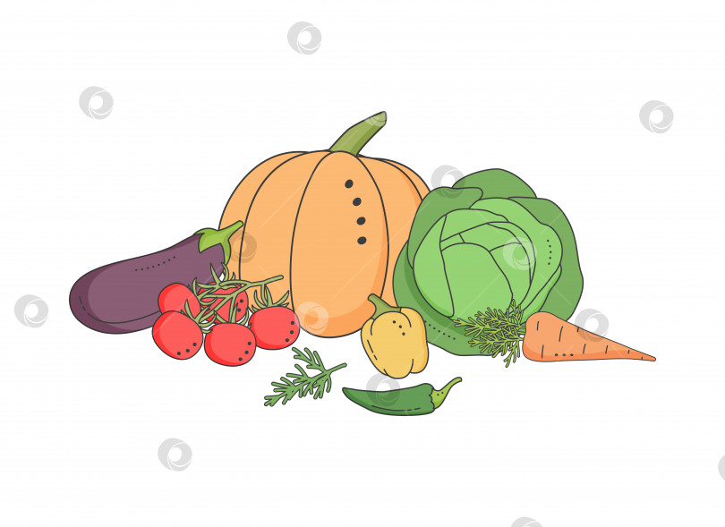 Скачать Набор из свежих овощей. Стиль каракулей. фотосток Ozero