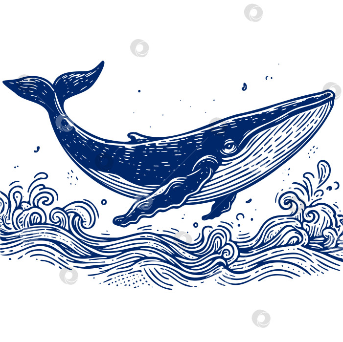 Скачать синий кит летит по океану фотосток Ozero