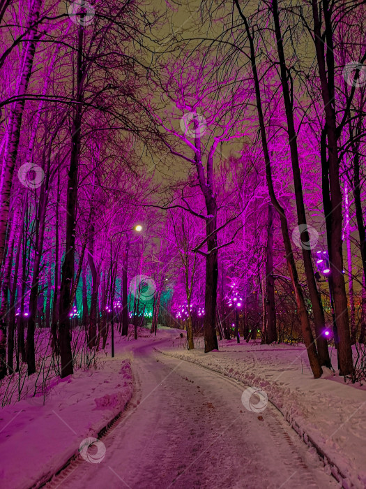 Скачать Дорога в разноцветном лесу фотосток Ozero