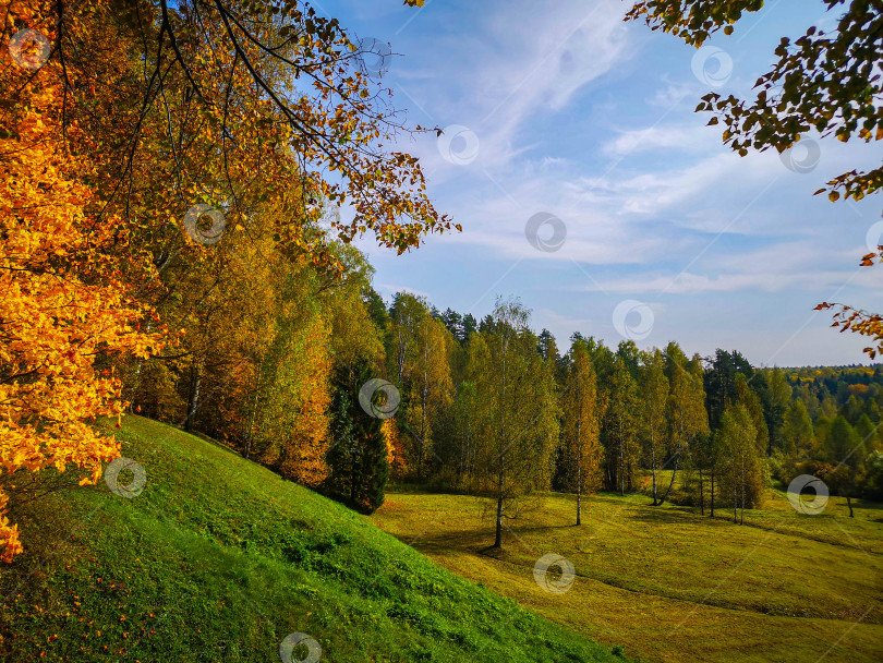 Скачать Осенний лес фотосток Ozero