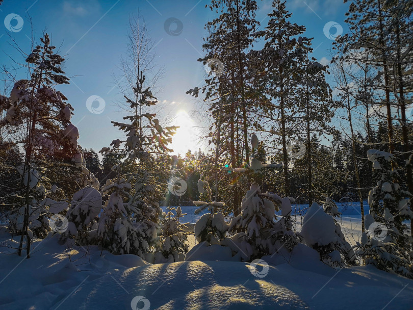 Скачать Мороз и солнце фотосток Ozero