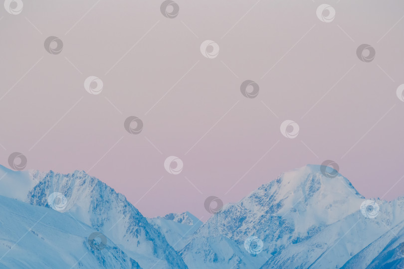 Скачать Горы Горного Алтая, окрашенные в розовый цвет утренним светом. фотосток Ozero