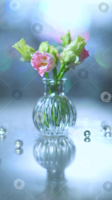 Скачать Красивые розовые и зеленые цветы в вазе на столе фотосток Ozero