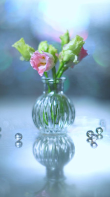[object Object] undefined
