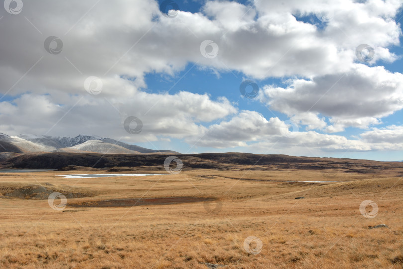 Скачать Широкая ровная степь с пожелтевшей сухой травой у подножия заснеженных гор в тени низких облаков солнечным осенним днем. фотосток Ozero