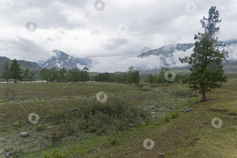 Скачать Низкие облака в долине реки Чуя. Алтай, Россия. фотосток Ozero