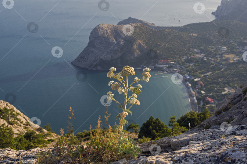 Скачать Панорамный вид на небольшой курортный городок на черноморском побережье Крыма. фотосток Ozero