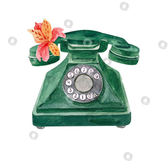 Скачать Акварельная композиция из ретро-телефона с проводом и цветком альстромерии, нарисованная от руки. фотосток Ozero