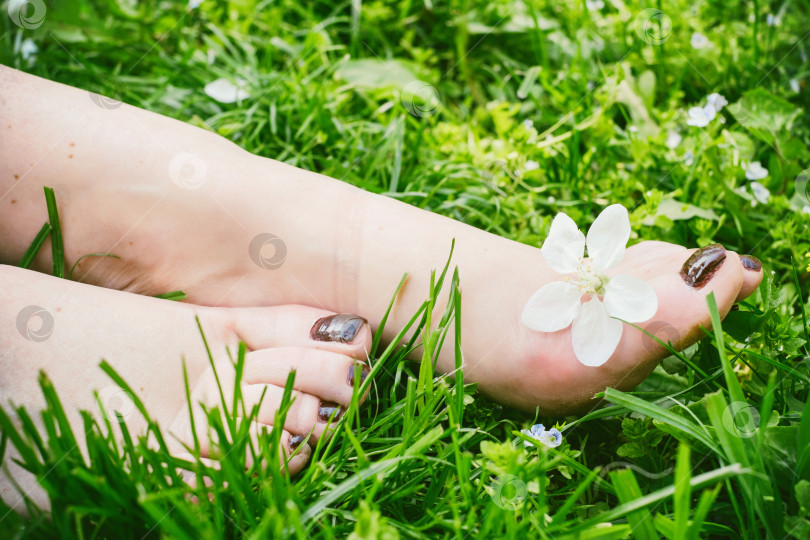 Скачать красивые женские ножки босиком на зеленой траве фотосток Ozero