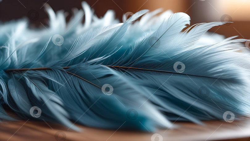 Скачать Синие перья фотосток Ozero