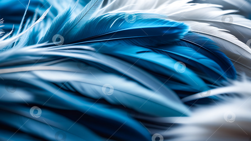 Скачать Абстрактные изображения из перьев в синих тонах фотосток Ozero