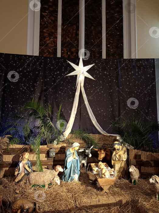 Скачать Рождественский Вертеп - инсталляция рождения Иисуса Христа в Соборе Непорочного зачатия девы Марии в Москве фотосток Ozero