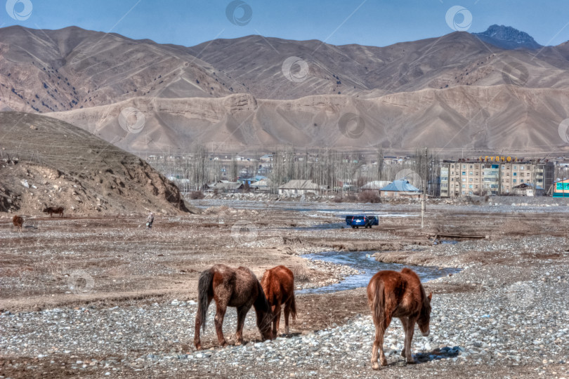 Скачать горная река, ведущая в город Гульчо, Кыргызстан фотосток Ozero