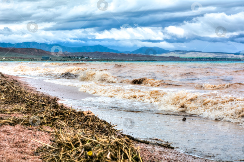 Скачать Штормовые волны на озере Иссык-Куль, грязная, но красивая вода. выборочный обзор. фотосток Ozero