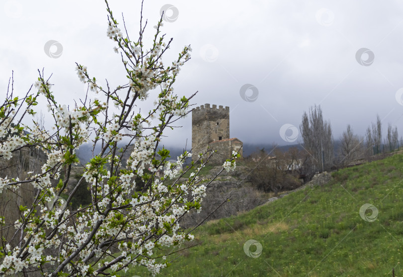 Скачать Генуэзская крепость в Судаке, Крым. фотосток Ozero