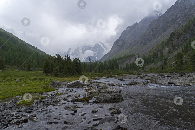 Скачать Река Шавла. Горный Алтай, Россия. фотосток Ozero