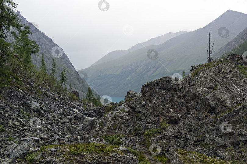 Скачать Долина реки Шавла. Горный Алтай, Россия. фотосток Ozero