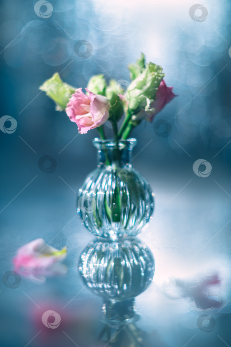 Скачать Красивые розовые и зеленые цветы в вазе на столе фотосток Ozero