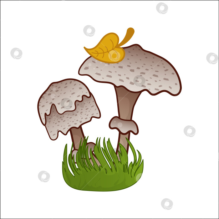 Скачать Изолированная векторная иллюстрация гриба. Поганка в мультфильме. Растения, ботаники, несъедобный гриб. фотосток Ozero