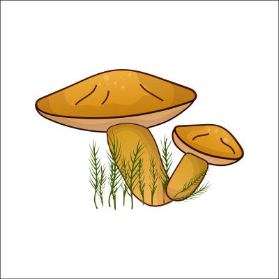 [object Object] undefined