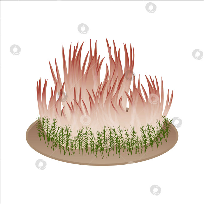 Скачать Трубчатый гриб - векторная изолированная иллюстрация гриба. Тема растений, ботаники в мультфильме. фотосток Ozero