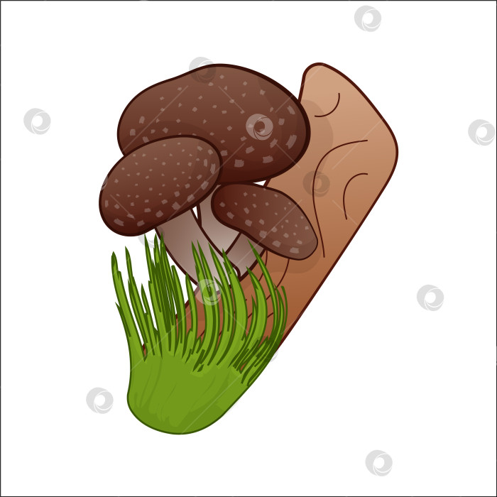 Скачать гриб шитаке на дереве, векторная изолированная иллюстрация. Тематические растения, ботаники в мультфильме. фотосток Ozero