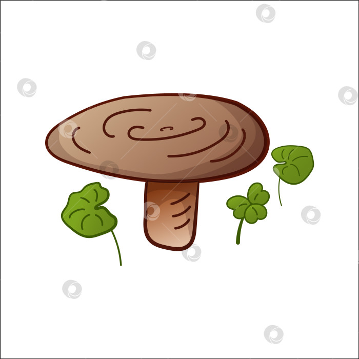 Скачать Изолированная векторная иллюстрация гриба нигелла. Тематические растения, ботаники, грибы в мультяшном стиле. фотосток Ozero