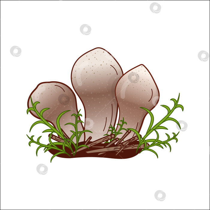 Скачать Шампиньон, изолированная векторная иллюстрация гриба-фугу. Тема растений, ботаники в мультфильме. фотосток Ozero