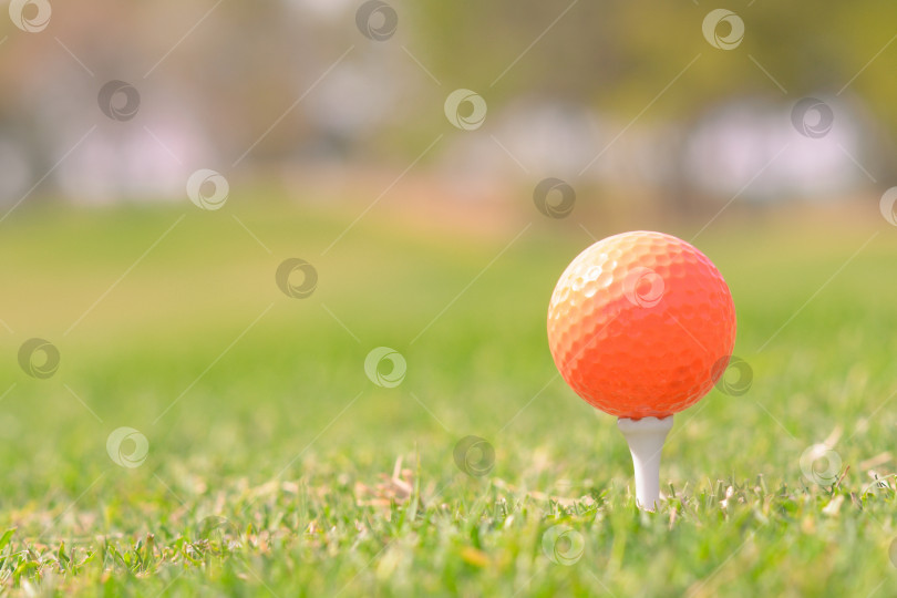 Скачать Снимок оранжевого мяча для гольфа крупным планом на поле для гольфа фотосток Ozero