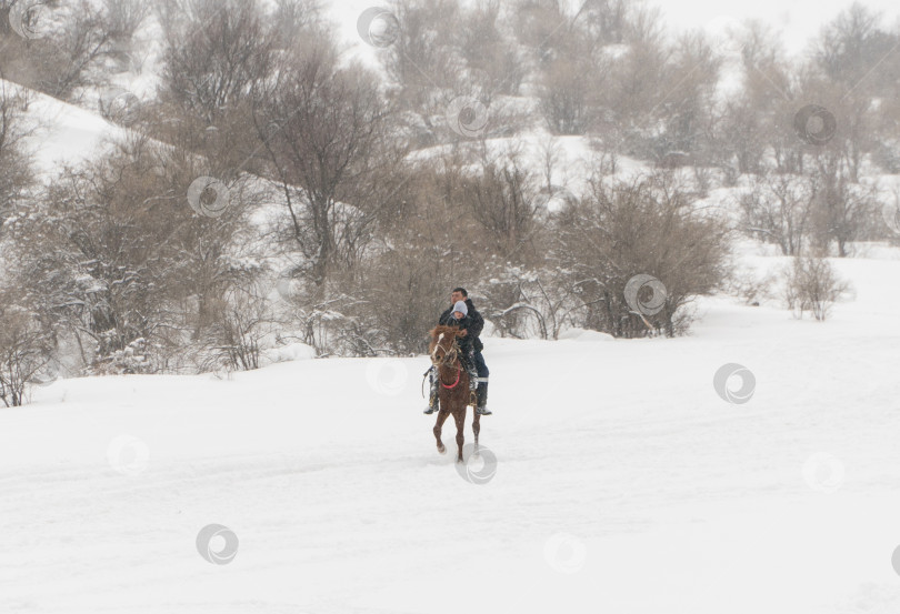 Скачать лошадь и всадник, зима фотосток Ozero