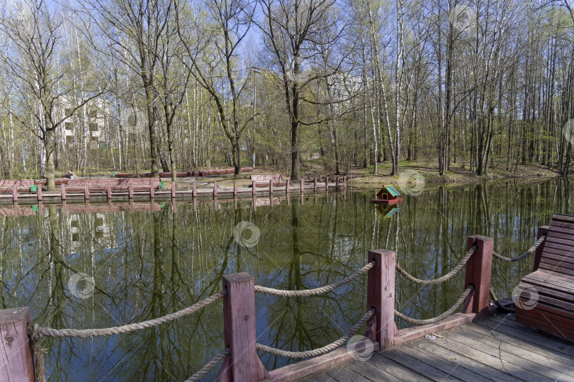 Скачать Небольшой пруд в городском лесопарке весной фотосток Ozero