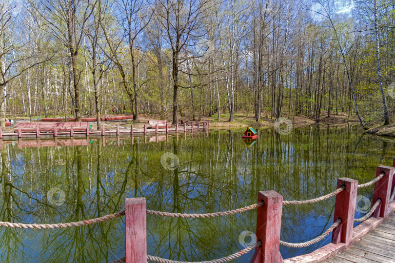 Скачать Небольшой пруд в городском лесопарке весной фотосток Ozero