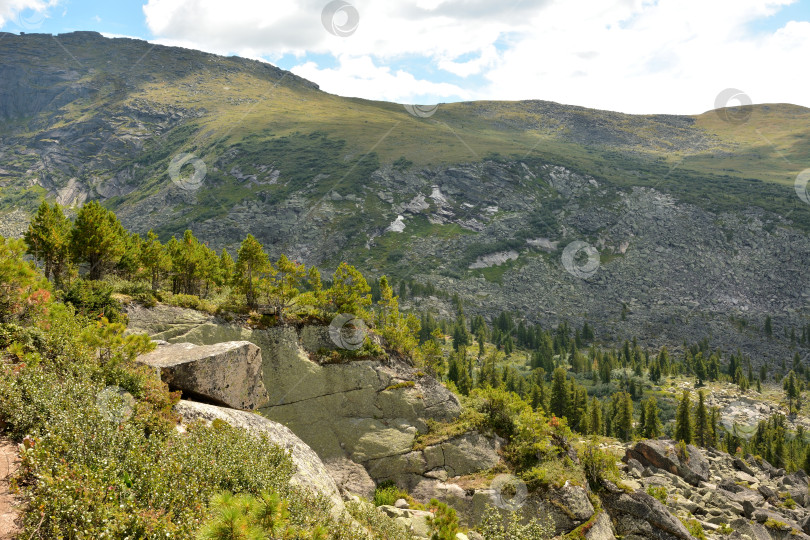 Скачать Каменистые уступы с молодыми соснами на вершинах на фоне пологой высокой горы в солнечный летний день. фотосток Ozero