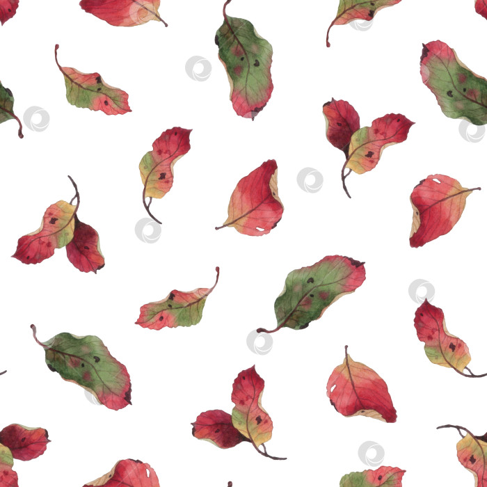 Скачать Акварельный бесшовный паттерн с красными листьями. фотосток Ozero